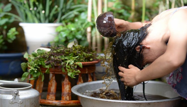 Gội đầu bằng bồ kết giúp tóc mượt và loại bỏ gàu Gội đầu bằng bồ kết giúp tóc mượt và loại bỏ gàu
