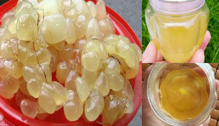 Mỡ trăn có rất nhiều công dụng 